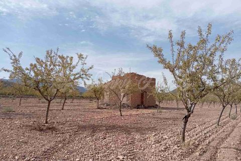 Finca i Yecla, Murcia, Yecla - € 350.000 | Ref: SF0507 - foto 19